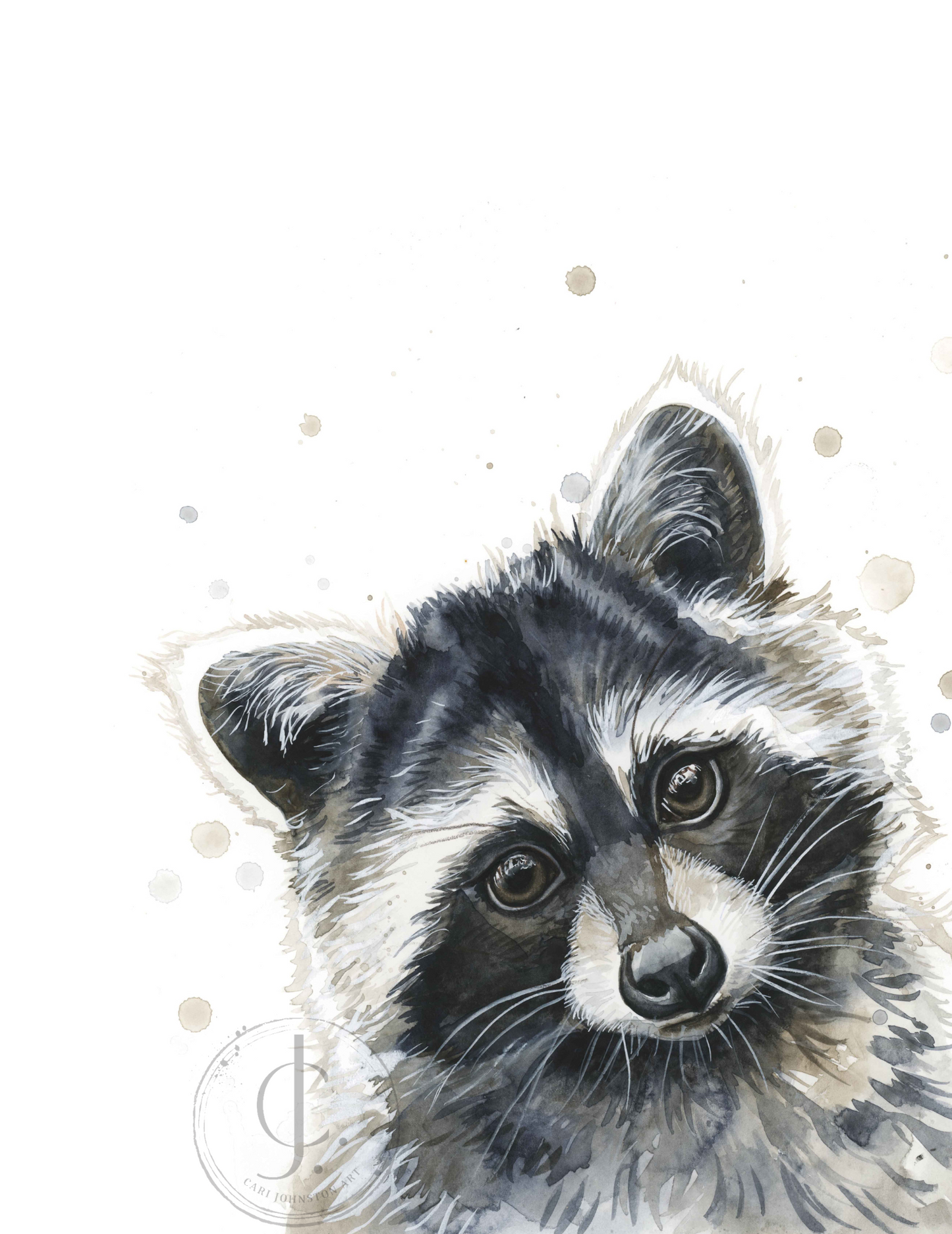 Racoon Print