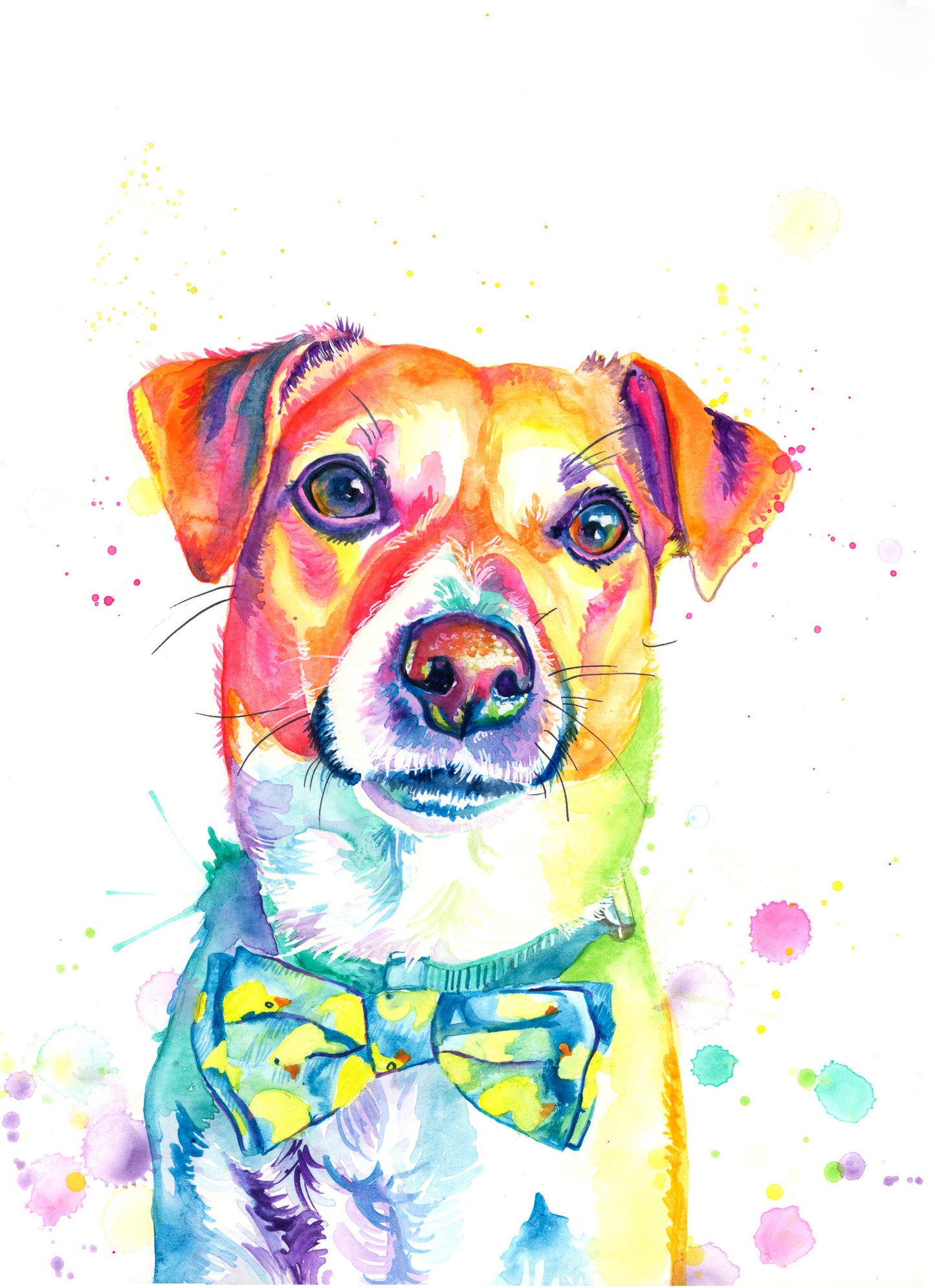 Custom Pet Portrait Rainbow Style