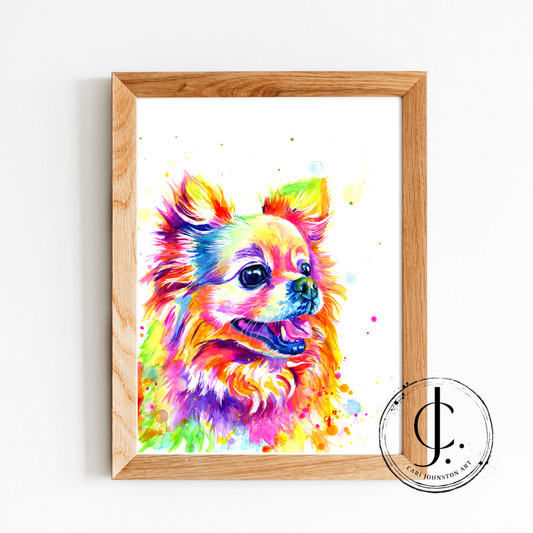 Pomeranian Print