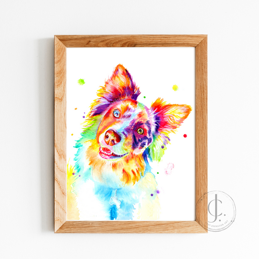Australian Shepherd Print