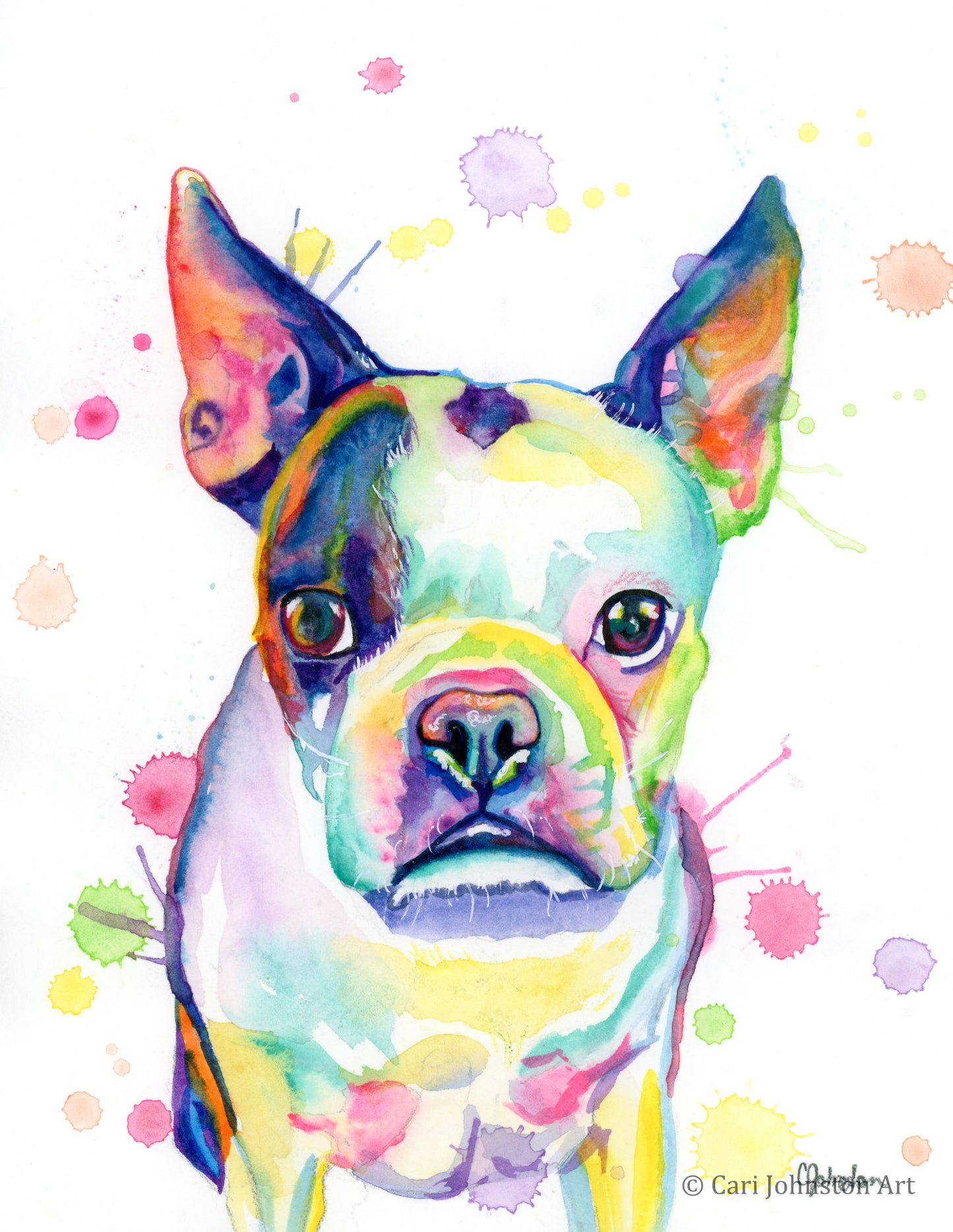 Custom Pet Portrait Rainbow Style